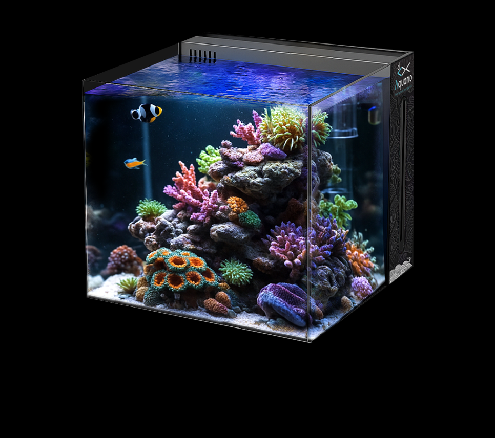 Meerwasser Aquarien & Technik