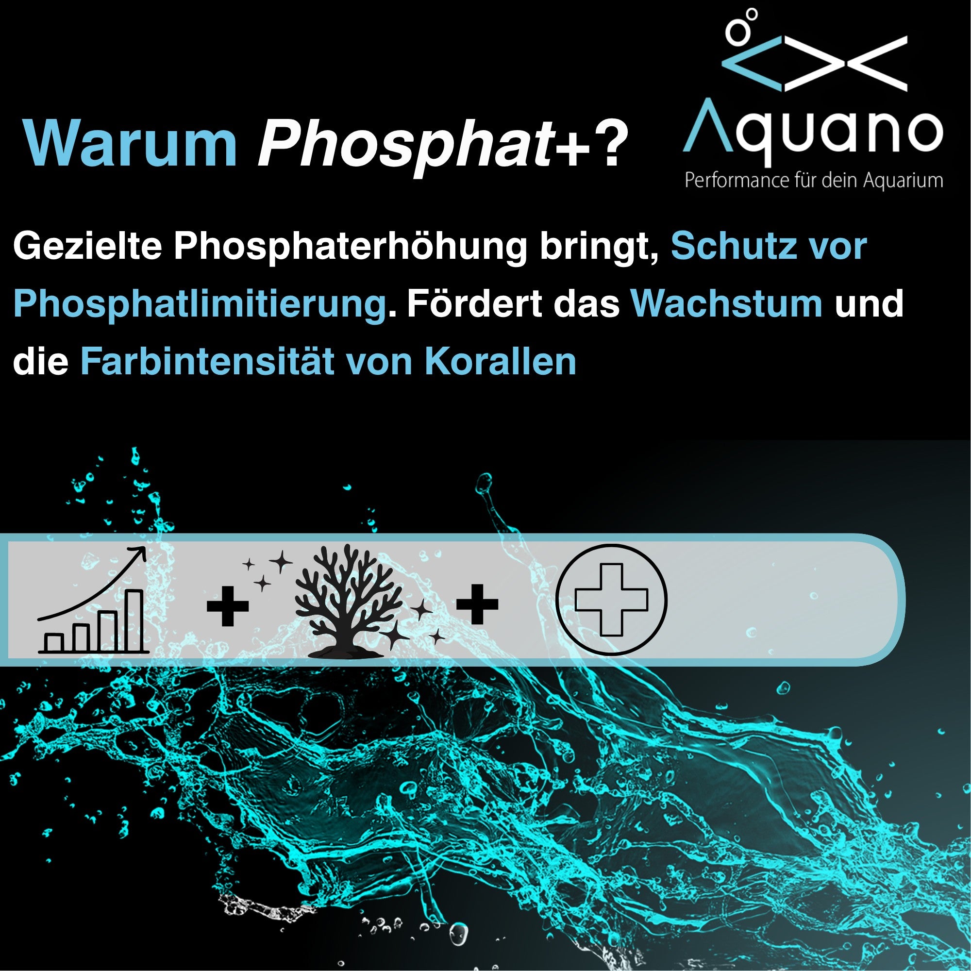 Phosphat Plus 1000ml – Phosphat Konzentrat für Meerwasseraquarien - Aquano - Performance für dein Aquarium
