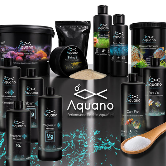 Nano Aquarium Einzeln 60L - 40x40x40cm - Aquano - Performance für dein Aquarium