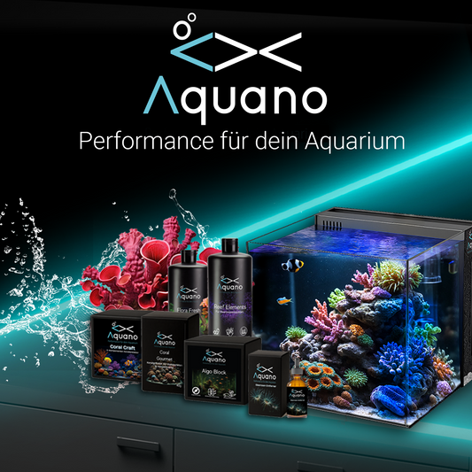 Nano Aquarium Einzeln 60L - 40x40x40cm - Aquano - Performance für dein Aquarium