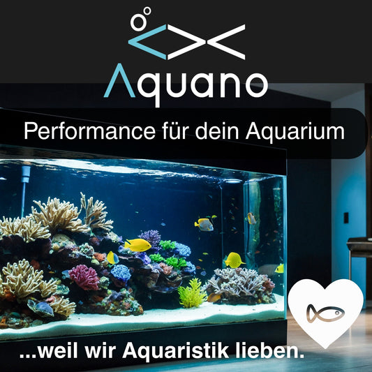 AQUANO Care Fish 1000ml – Pflegepräparat für Zierfische - Aquano - Performance für dein Aquarium