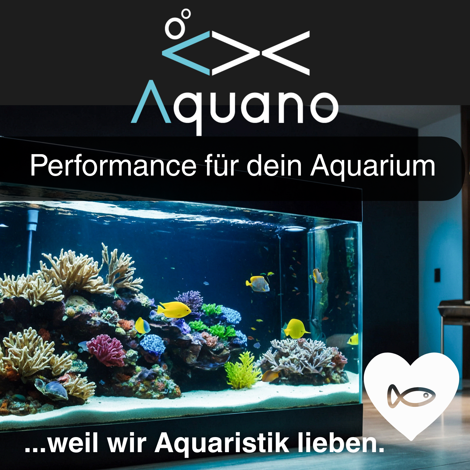 AQUANO - Nitrat Plus 250ml – Effektive NO3-Wert-Erhöhung - Aquano - Performance für dein Aquarium