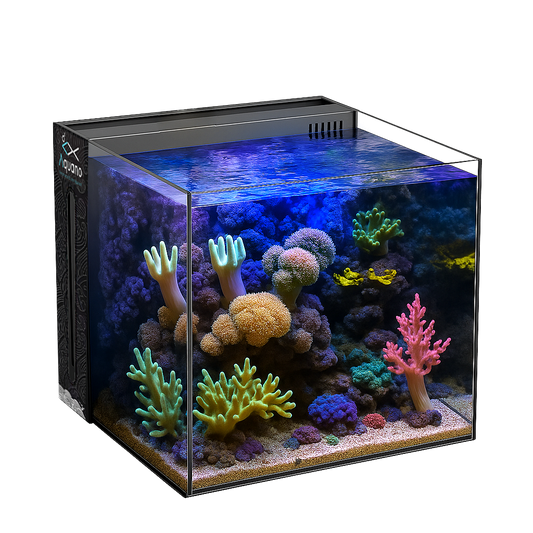Nano Aquarium Komplettset 60L - 40x40x40cm - Aquano - Performance für dein Aquarium