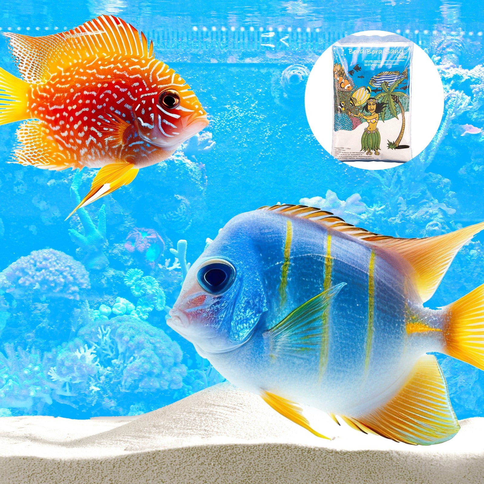 Nova Sand 3Kg – Feiner, weißer Bodengrund für Meerwasseraquarien - Aquano - Performance für dein Aquarium