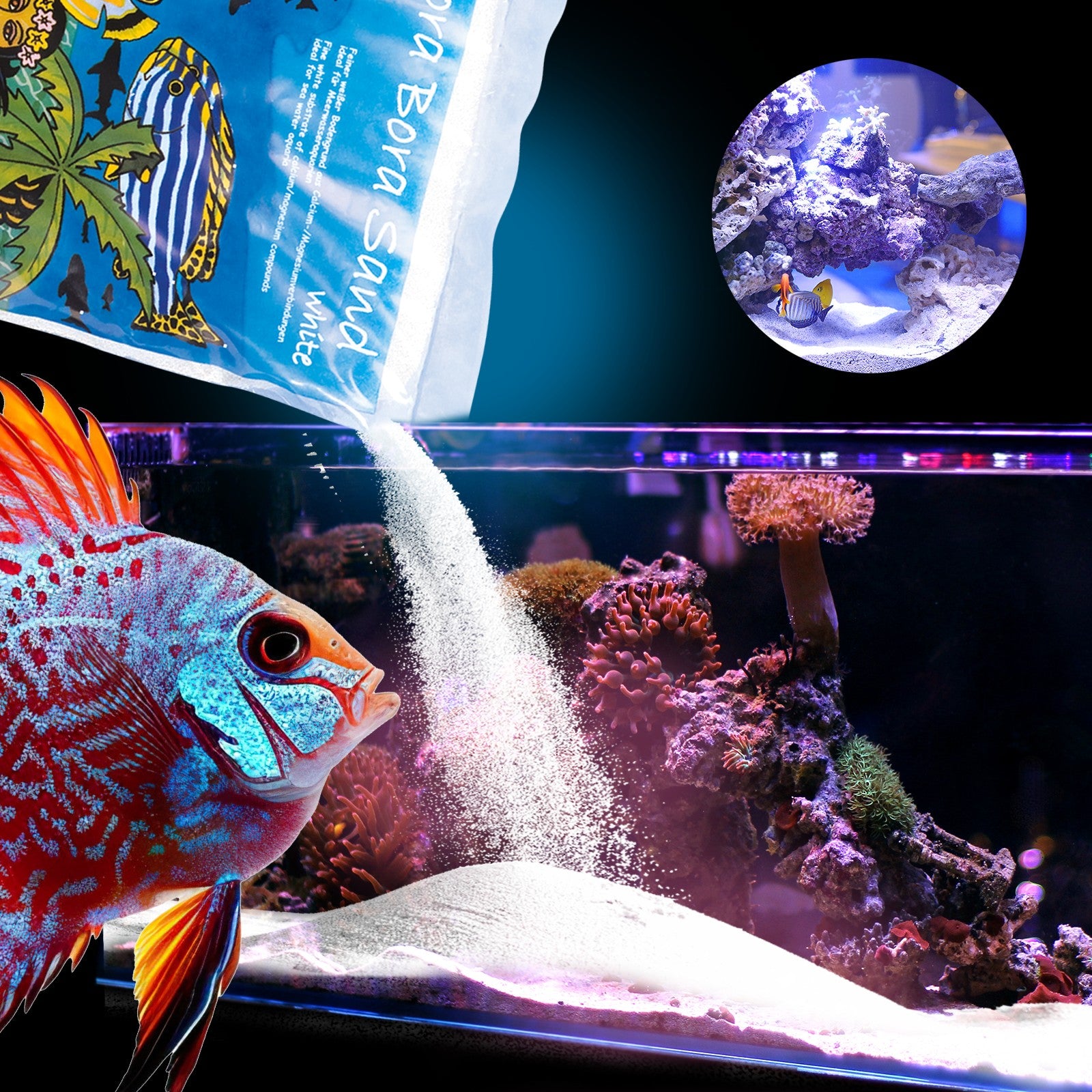 Nova Sand 3Kg – Feiner, weißer Bodengrund für Meerwasseraquarien - Aquano - Performance für dein Aquarium
