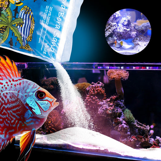 Nova Sand 3Kg – Feiner, weißer Bodengrund für Meerwasseraquarien - Aquano - Performance für dein Aquarium