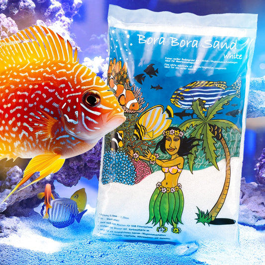 Nova Sand 3Kg – Feiner, weißer Bodengrund für Meerwasseraquarien - Aquano - Performance für dein Aquarium