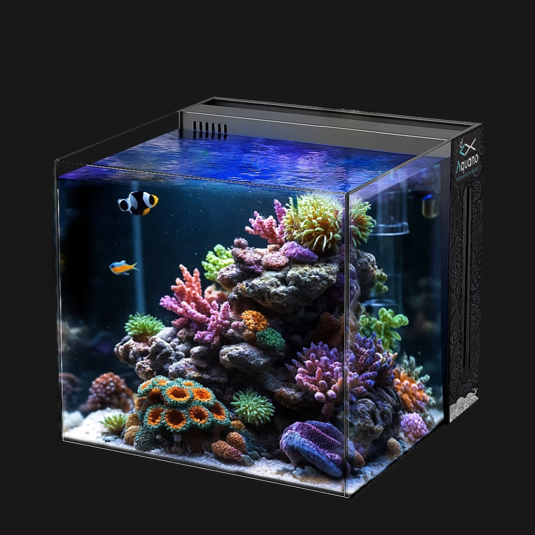 Nano Aquarium Einzeln 60L - 40x40x40cm - Aquano - Performance für dein Aquarium