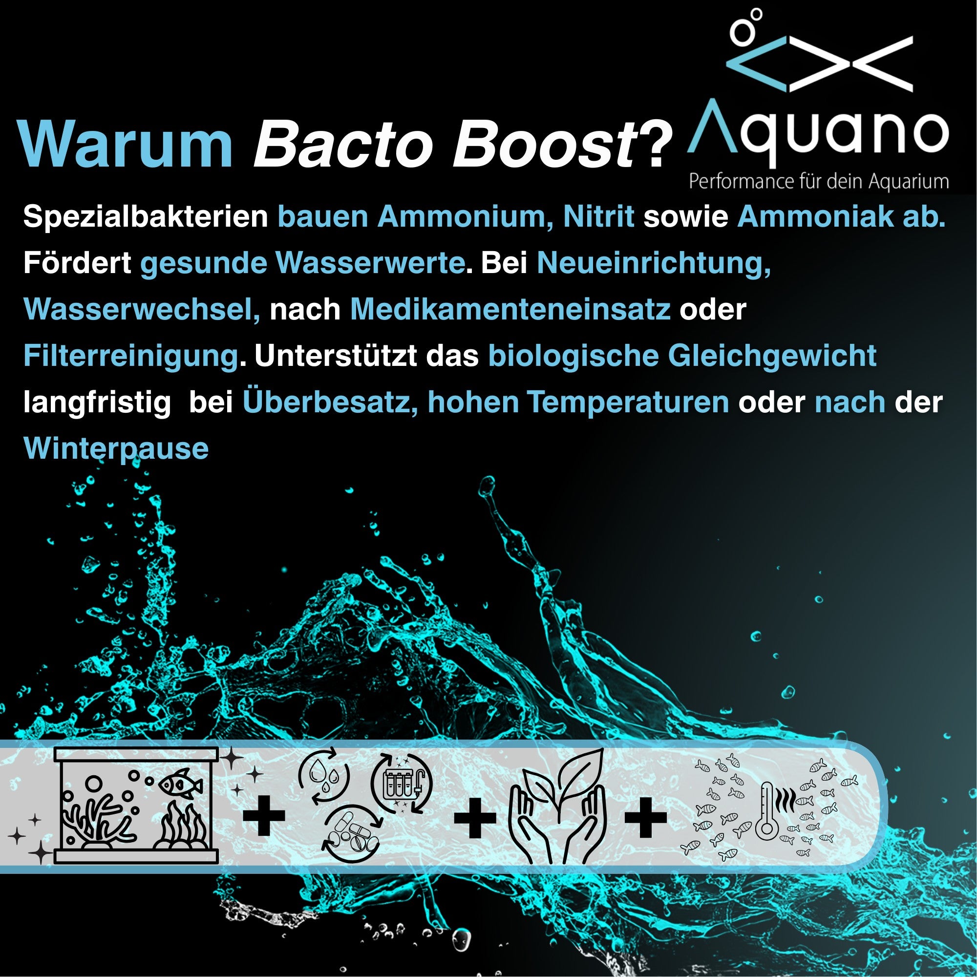 Bacto Boost 250ml – Bakterienstarter für Süß- & Meerwasseraquarien - Aquano - Performance für dein Aquarium