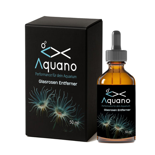 Glasrosen Entferner 50 ml mit Spritze - Aquano - Performance für dein Aquarium